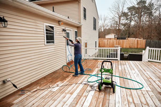 Best Pressure Washing Company Near Me  in Denison, IA