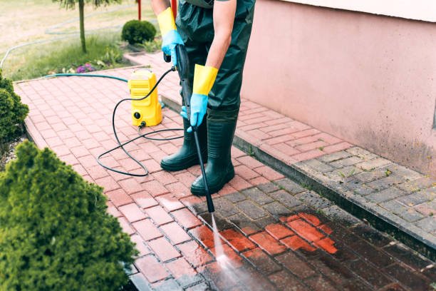 Best Fence Pressure Washing  in Denison, IA