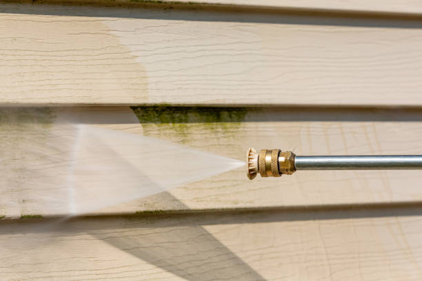 Best Commercial Pressure Washing  in Denison, IA